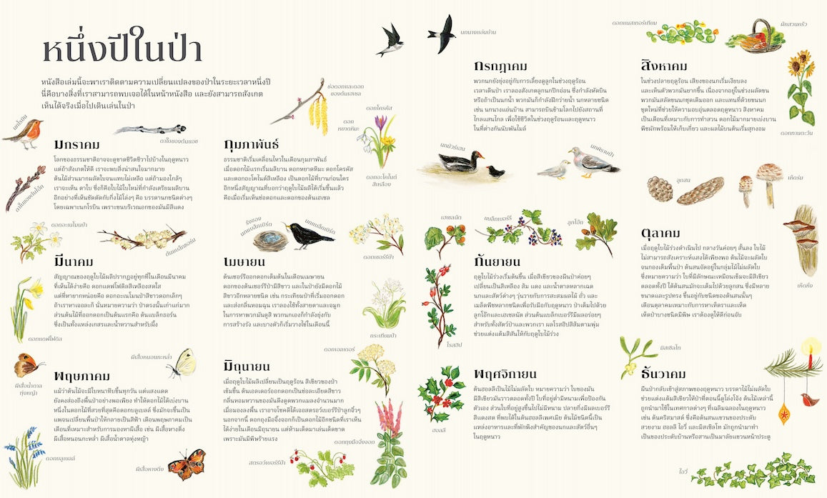 ป่าของหนู