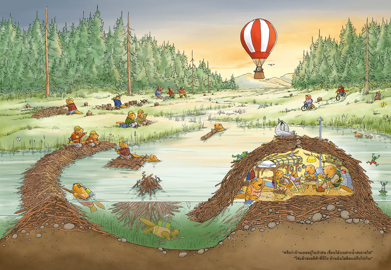 บีเวอร์ หาทางกลับบ้าน