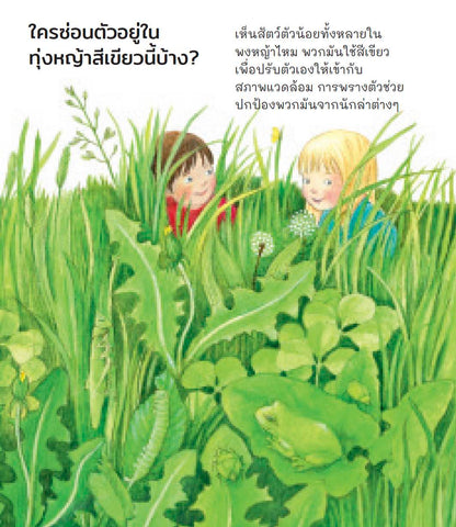 สีสันรอบตัวเรา (ชุดเพราะอะไรกันนะ)