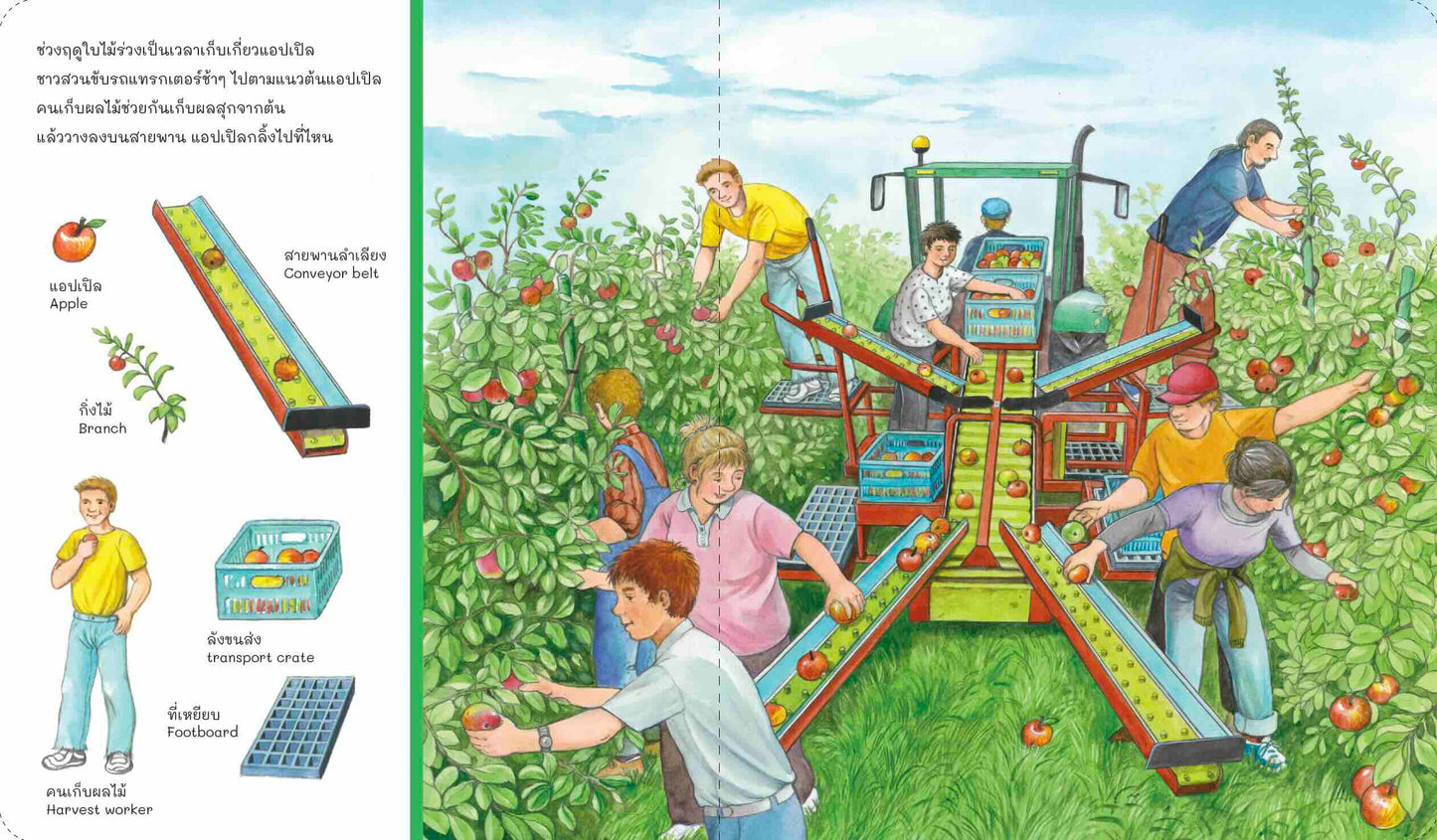 อยู่ไหนกันนะ ฟาร์มของฉัน