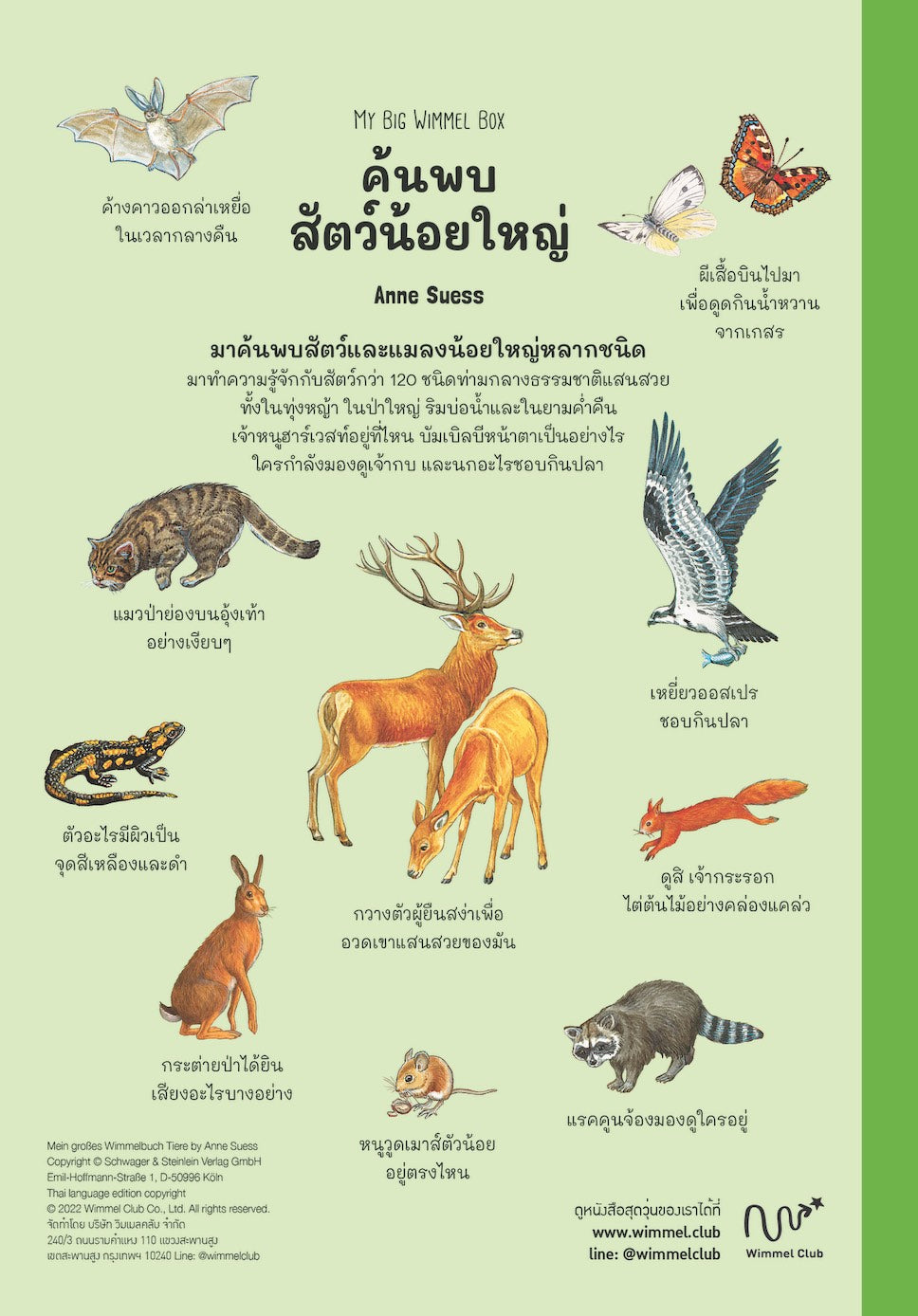 หนังสือสุดวุ่น ชุดเริ่มต้นค้นพบ